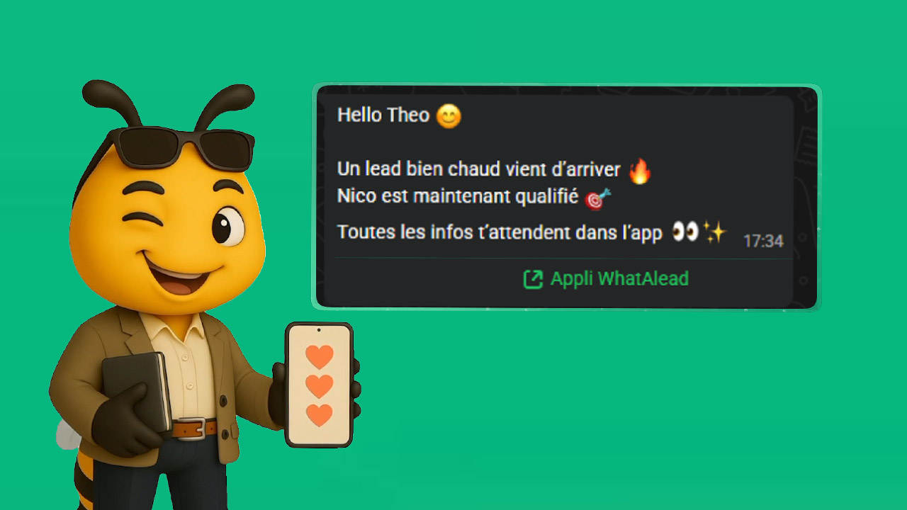 Notifications instantanées Setlyy