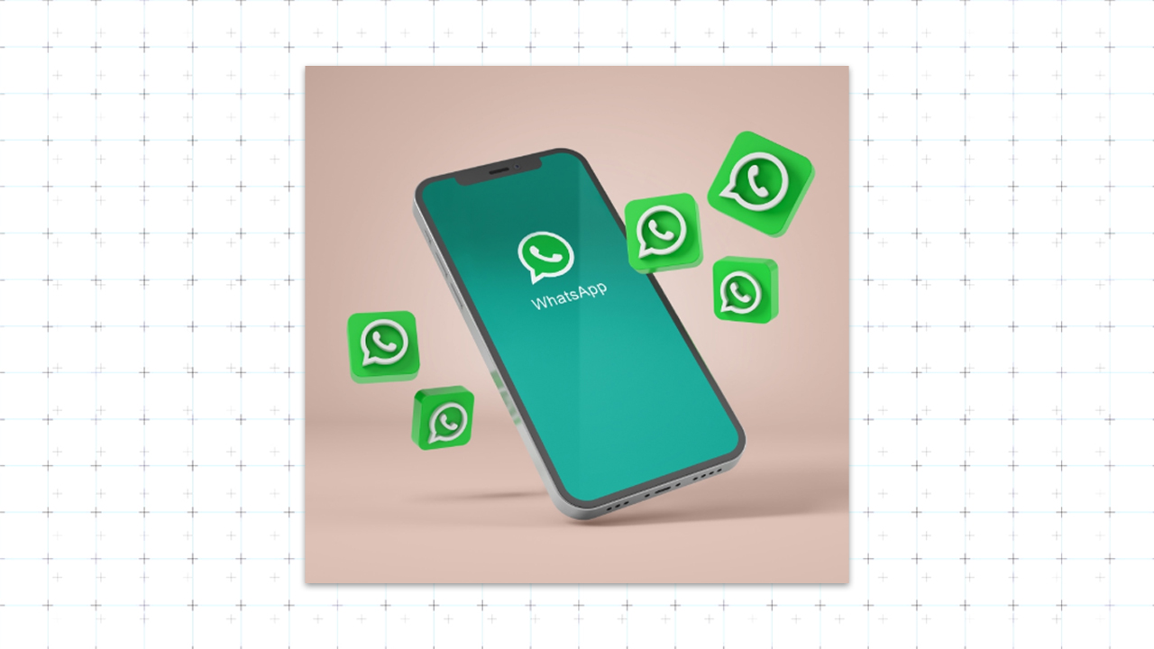 Support Setlyy via groupe WhatsApp et échanges experts